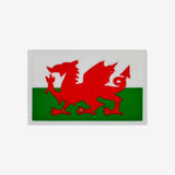 Velcro Patch - Welsh Flag - Momentum Society